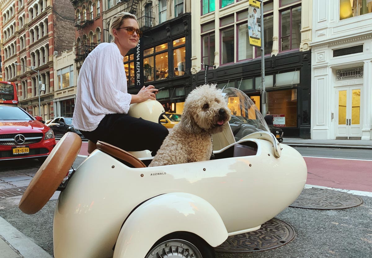 5 cute dogs you should follow on Instagram to celebrate international dog day 2020