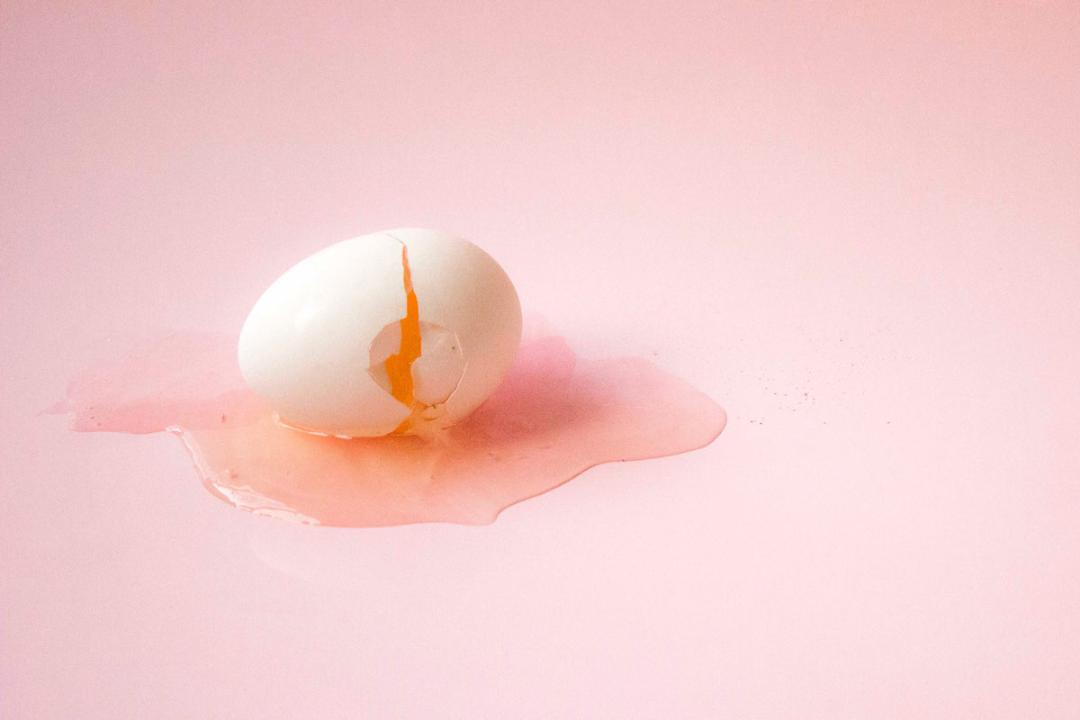 What came first, the chicken or the egg? We’ve got the answer