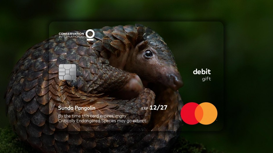 Mastercard is using card expiration dates as a tool to raise awareness against wildlife extinction