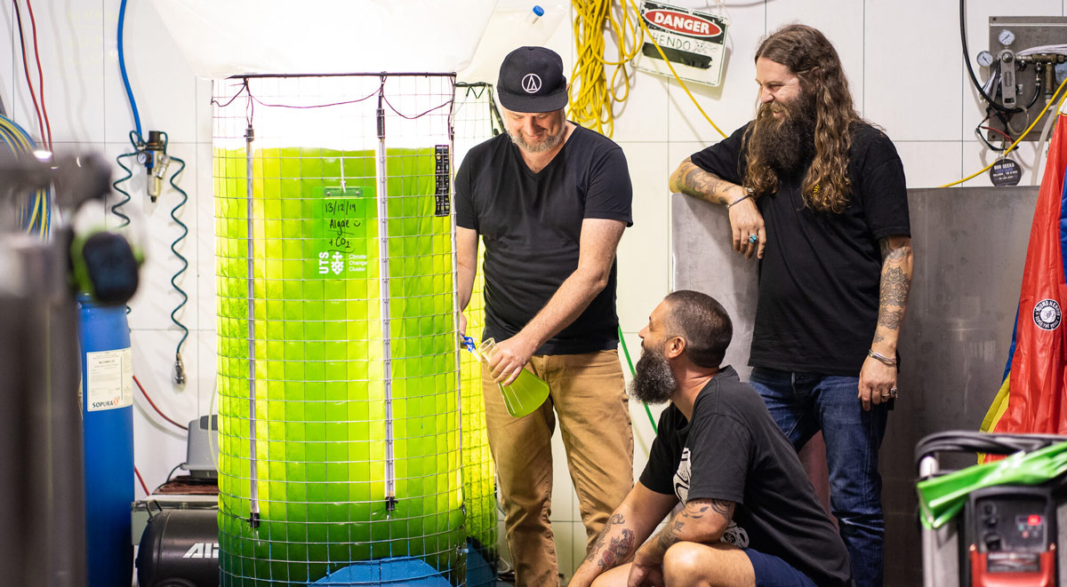Australian brewery Young Henrys is using algae to tackle beer’s carbon footprint