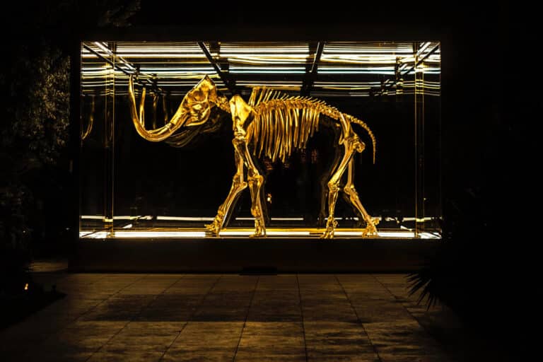 Genetics firm Colossal raised $15 million to bring back the mammoth from extinction. But how?