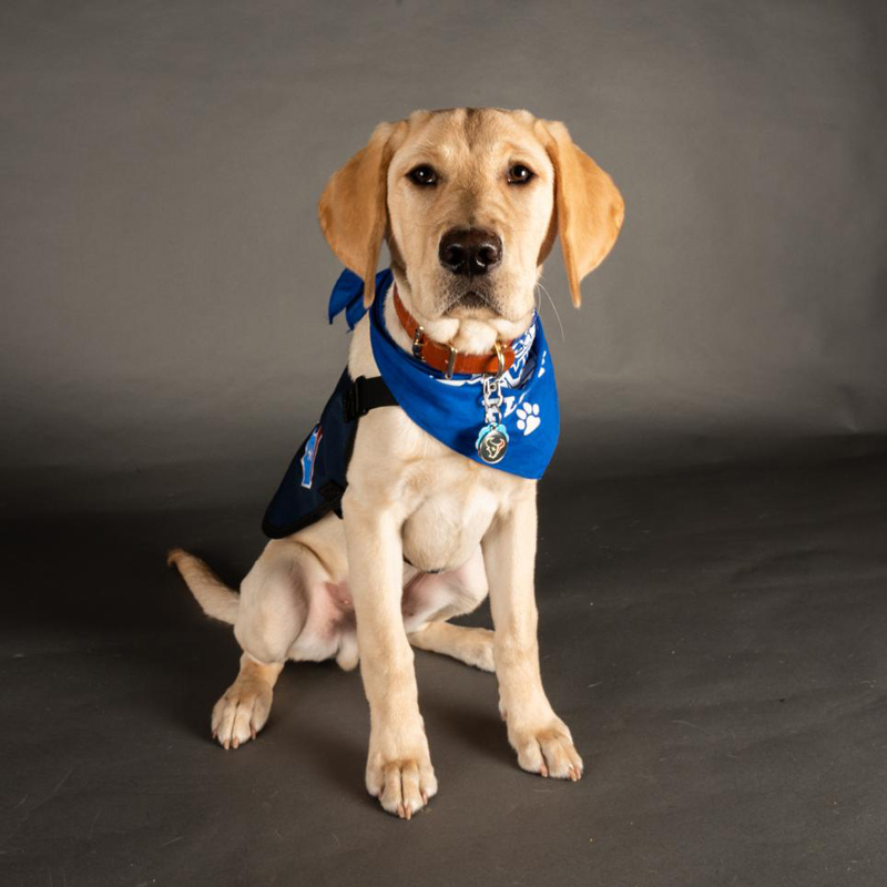 25 aww-dorable dogs from the 2022 Puppy Bowl who’ll melt your heart