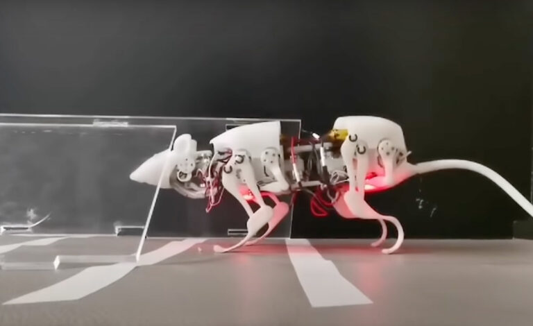 This new robot rat invention could one day save your life