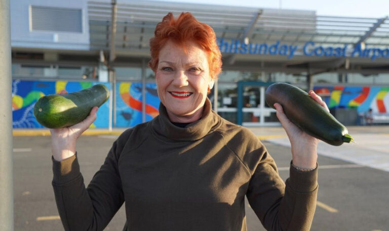 Pauline Hanson wants paedophiles in Australia to be chemically castrated