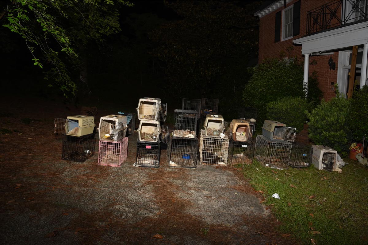 30 dead dogs and cats found in animal rescue CEO’s home that had ‘smell of death’