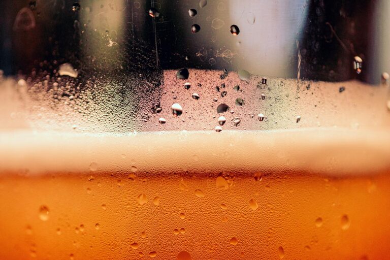 Singapore launches new beer made with sewage water and urine