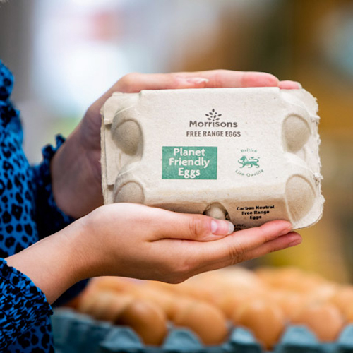 Morrisons launches ‘planet friendly’ eggs from hens fed on insects and food waste