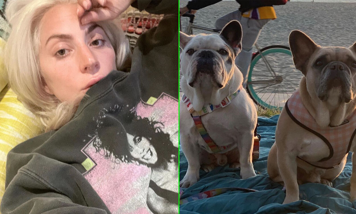 Man who shot Lady Gaga’s dog walker and stole her two pets charged with attempted murder