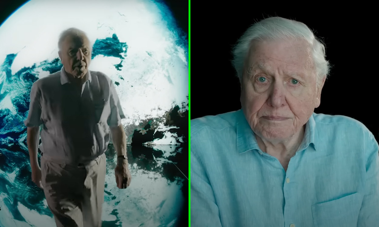 Watch Sir David Attenborough’s heartbreaking ‘final plea’ to save our planet