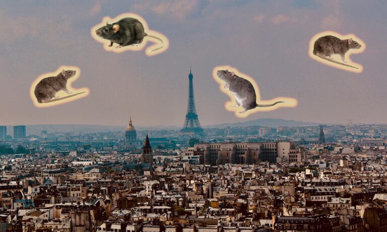 Project Armageddon wants to see Parisians cohabitate in harmony with rats