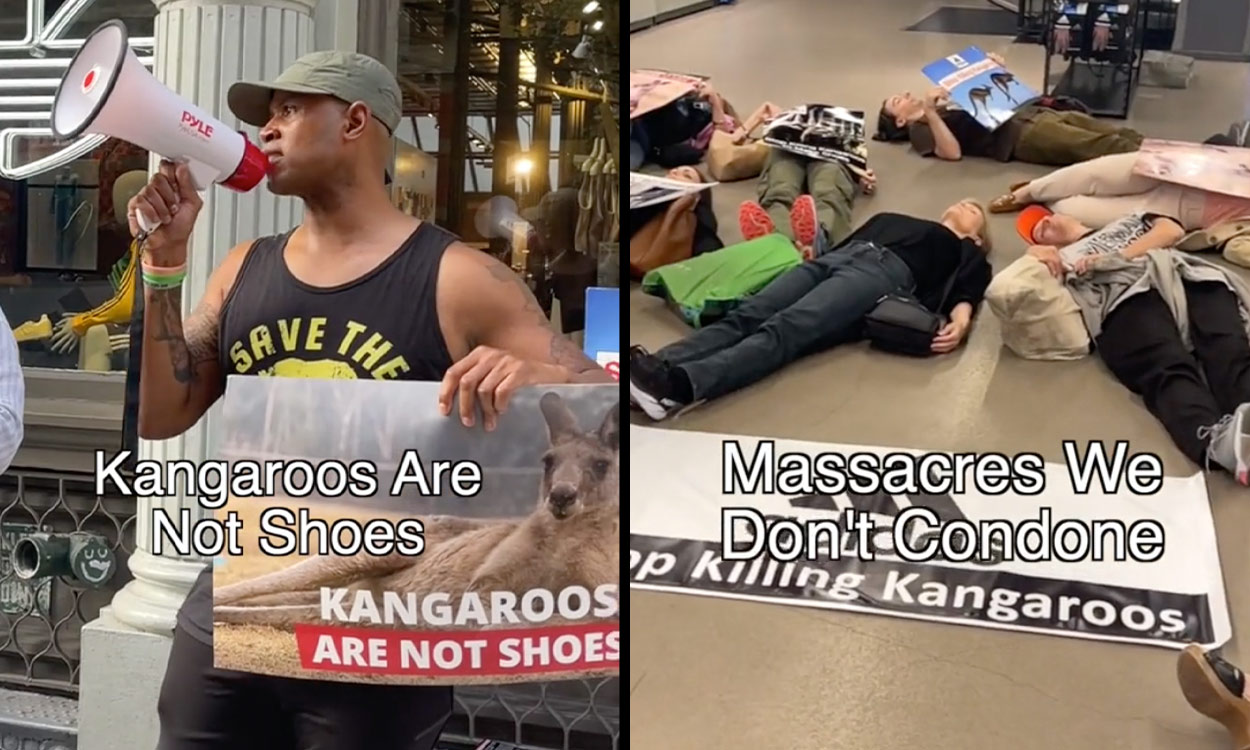 Protestors plead with Adidas to abandon unethical killing of Kangaroos for shoe leather