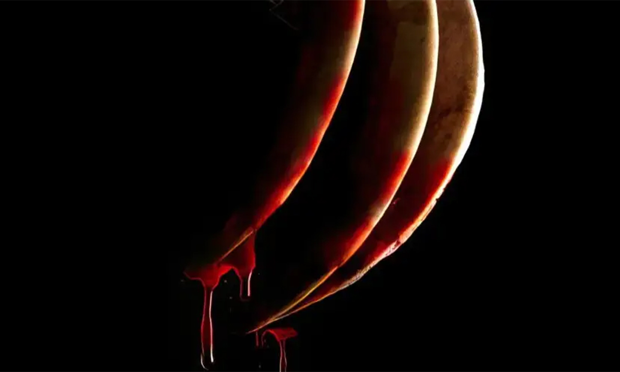 Watch the absolutely bonkers trailer for sloth horror mov...