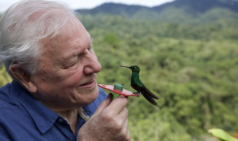 Is David Attenborough dead? Netizens concerned by trending hashtag