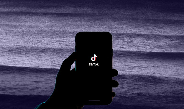 Home Office to pay TikTok influencers up to £5K to warn migrants not to cross the Channel