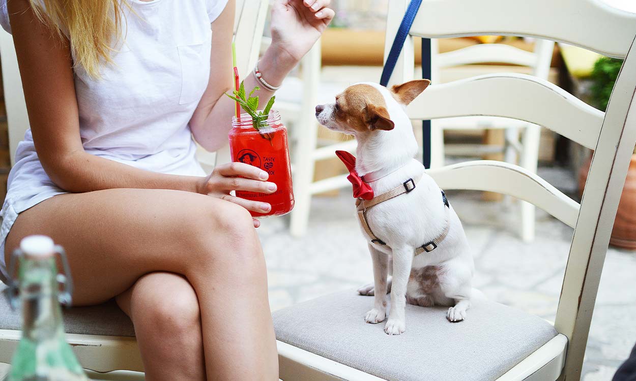 Unpopular opinion Why it’s time to end pet ownership